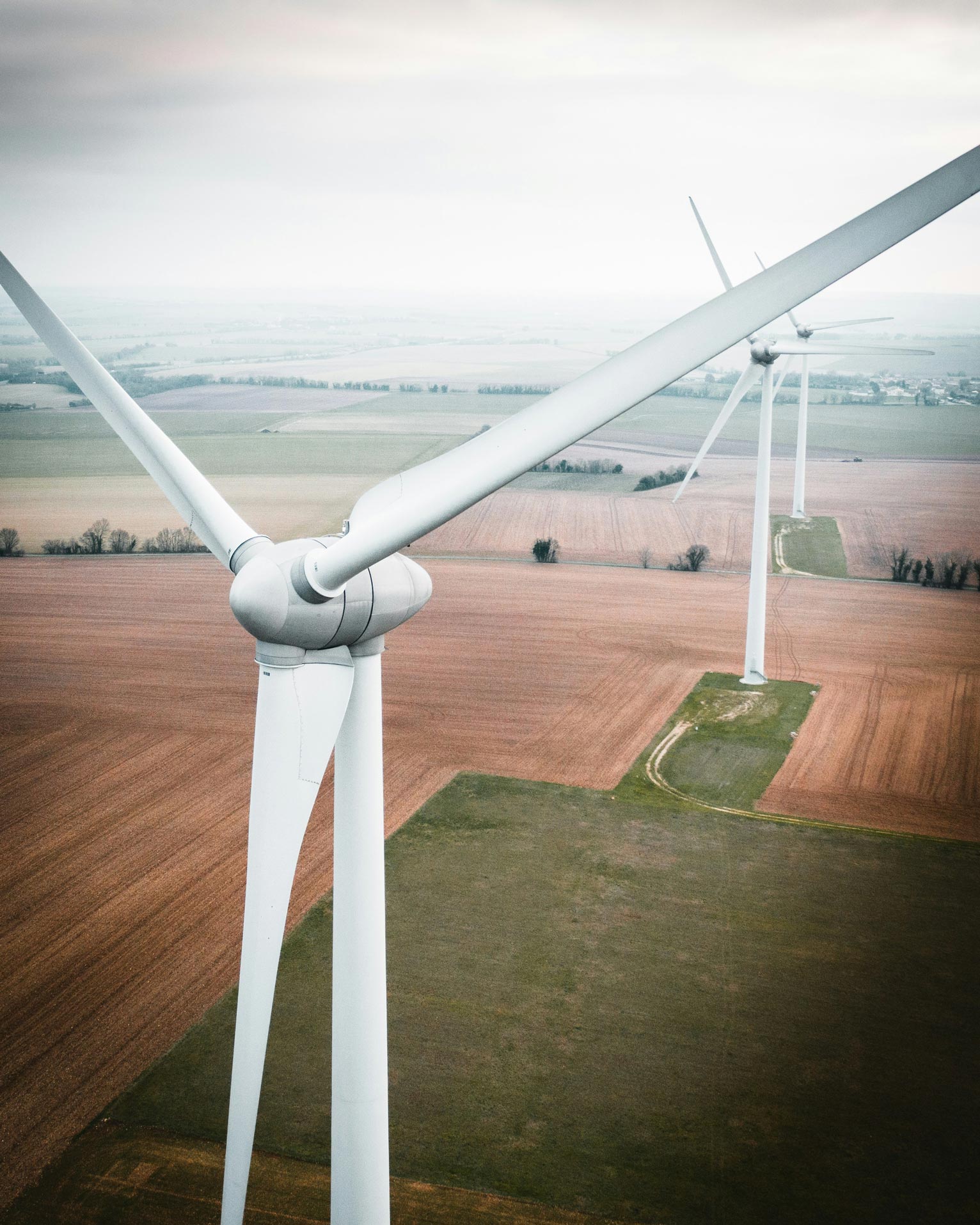 There is a growing consensus worldwide of the need to speed up the transition away from fossil fuel energy so as to slow down and eventually curb global warming. – Hémous et al. (Image by Gonz DDL via Unsplash)
