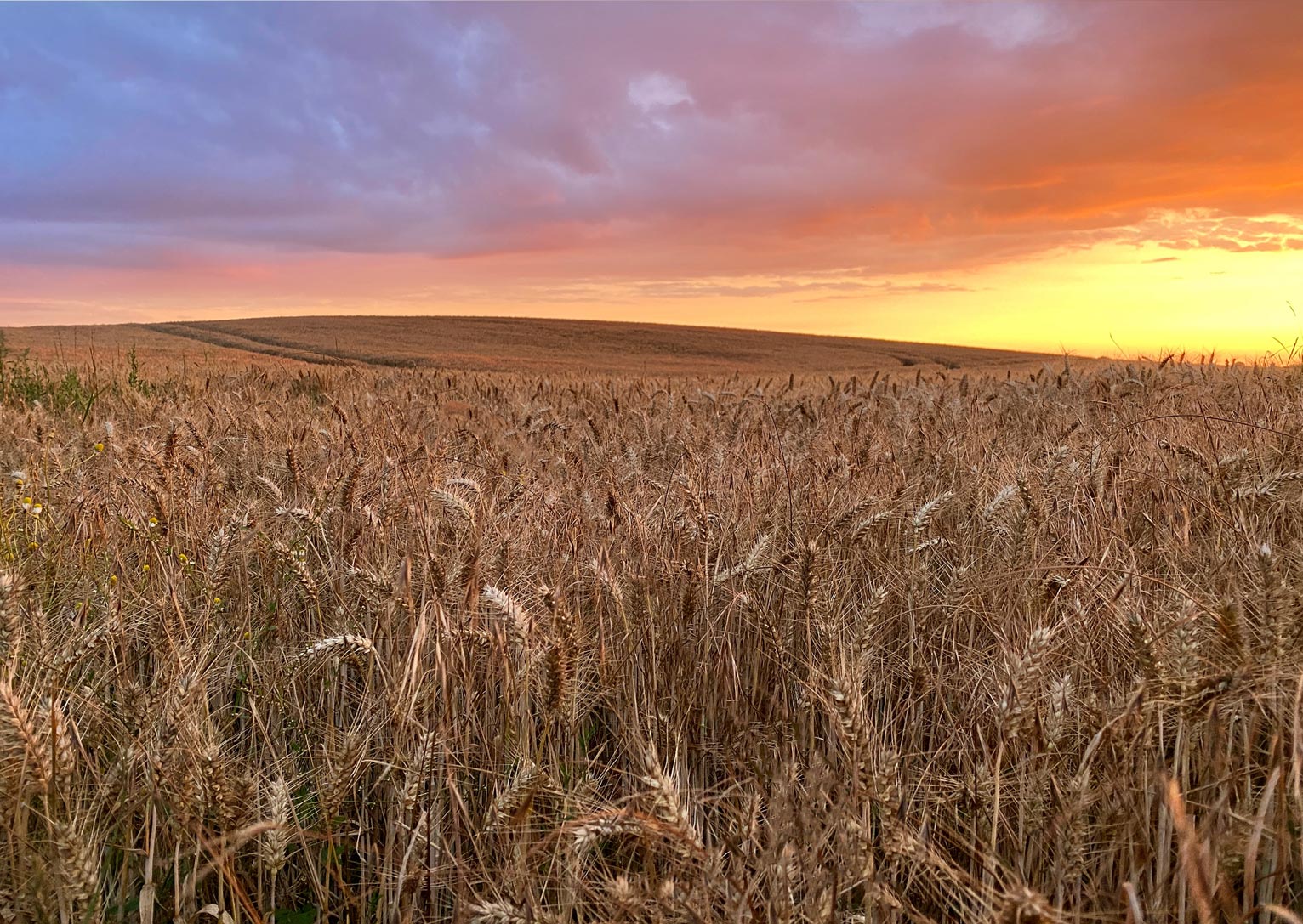 Sunset in York, England. Photo by Jack Harrison via Unsplash.