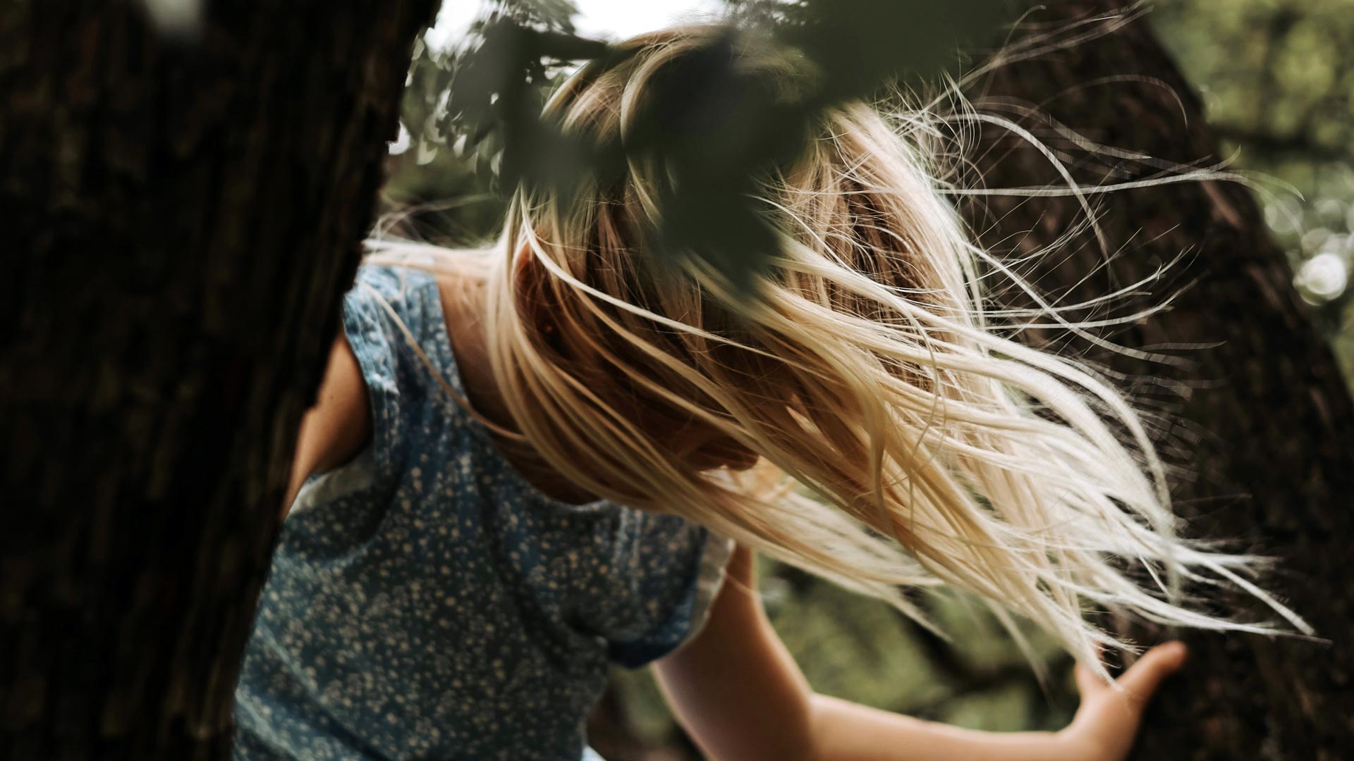 Image: Richard Stachmann / Unsplash