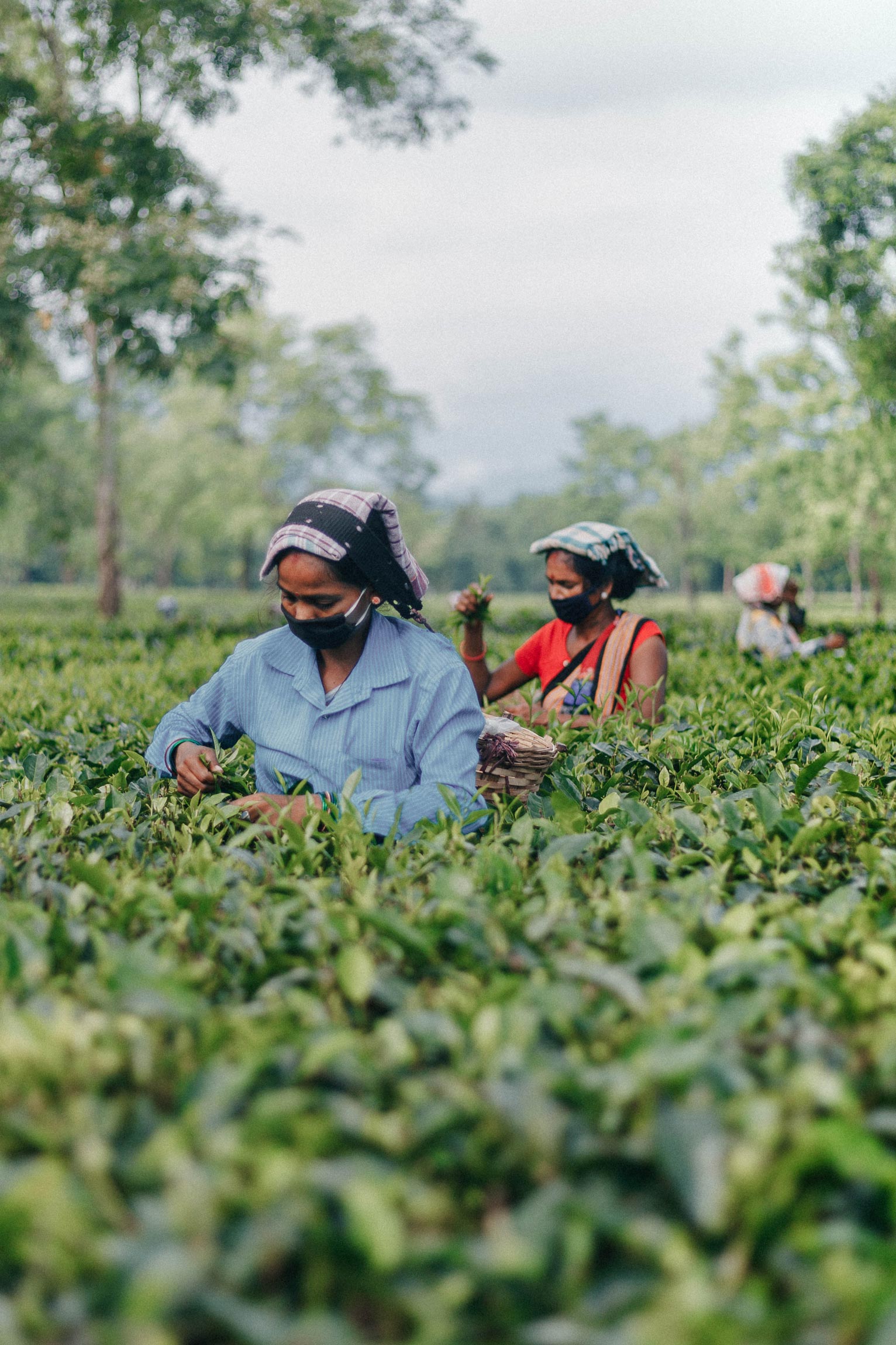 Millions of day laborers in India became unemployed during the pandemic and did not return to the labor market. Photo: unsplash / Nilotpal Kalita 